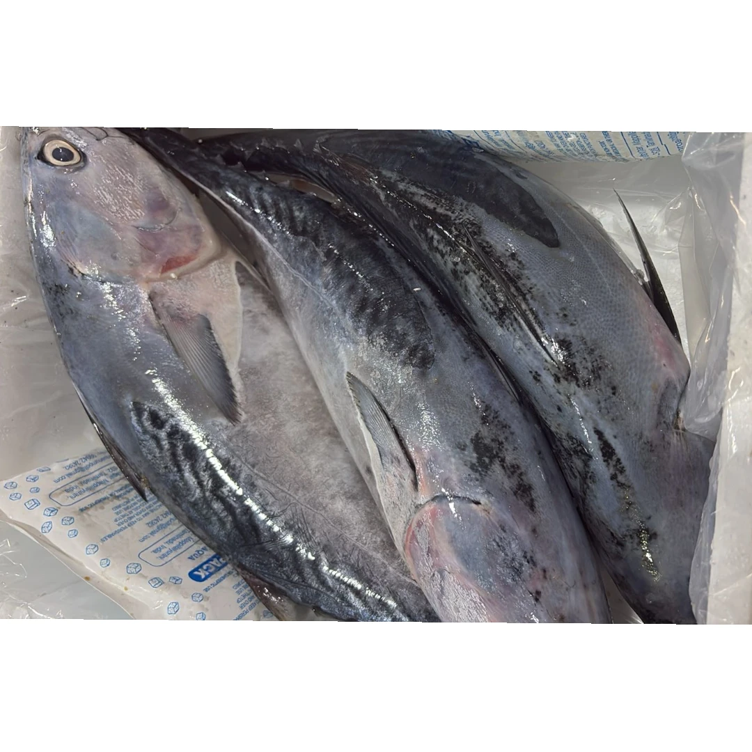 Tuna Fresh – 5 kg