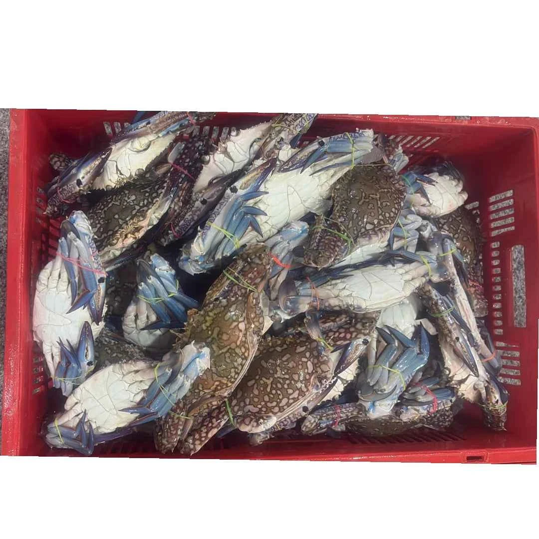Blue Crab Fresh – 5 kg