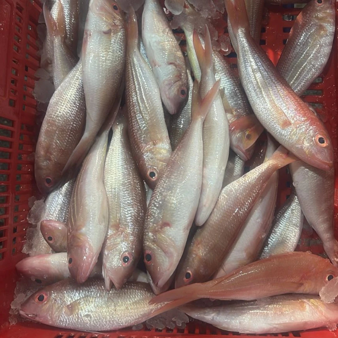 Kilimeen Fresh  – 5 kg