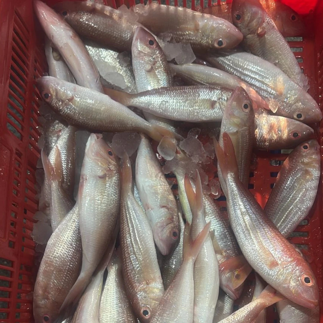 Kilimeen Fresh  – 5 kg
