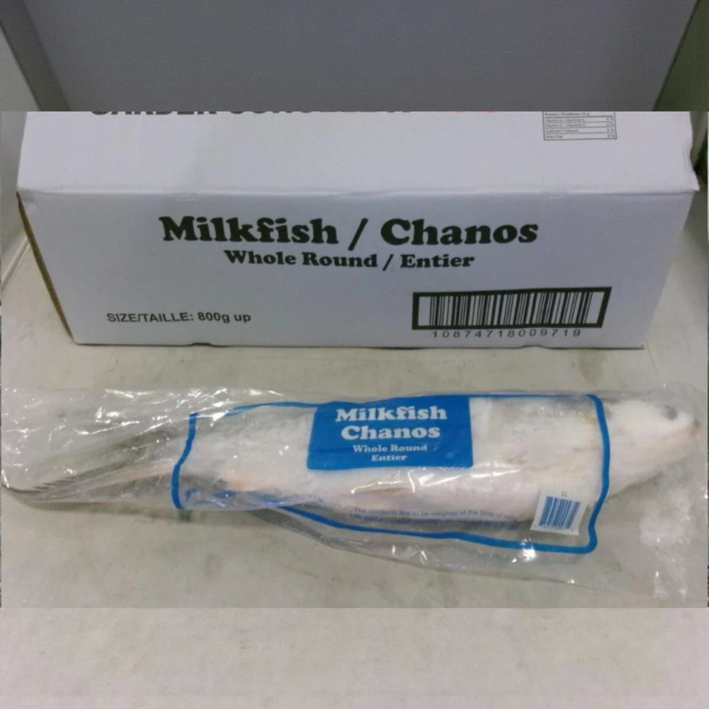 Milkfish – Frozen | 8 kg