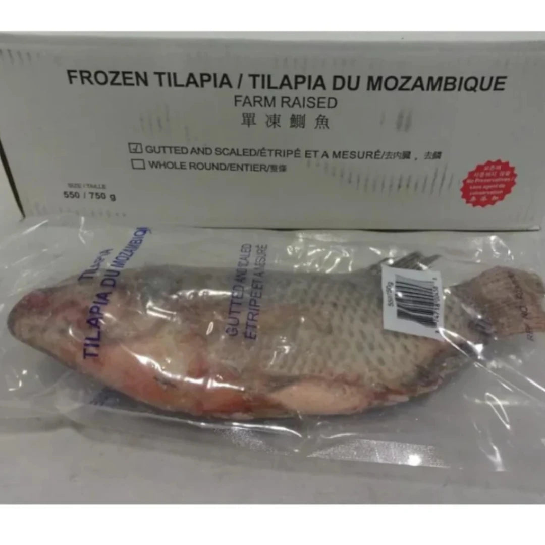 Tilapia – Frozen | 7.3 kg