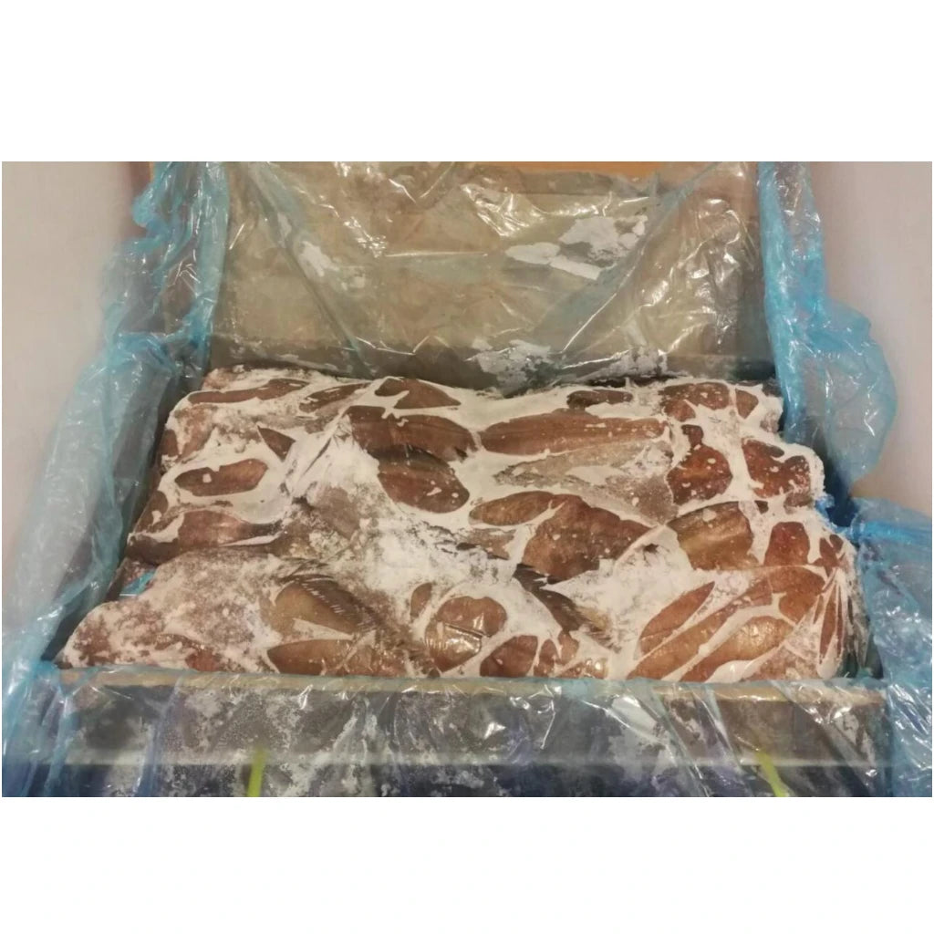 Turbot – Frozen | 15 kg