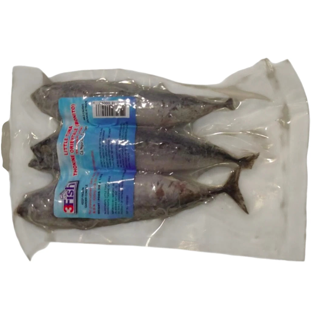 Little Tuna (Bonito) – Frozen | 10 kg (20 × 500 g)