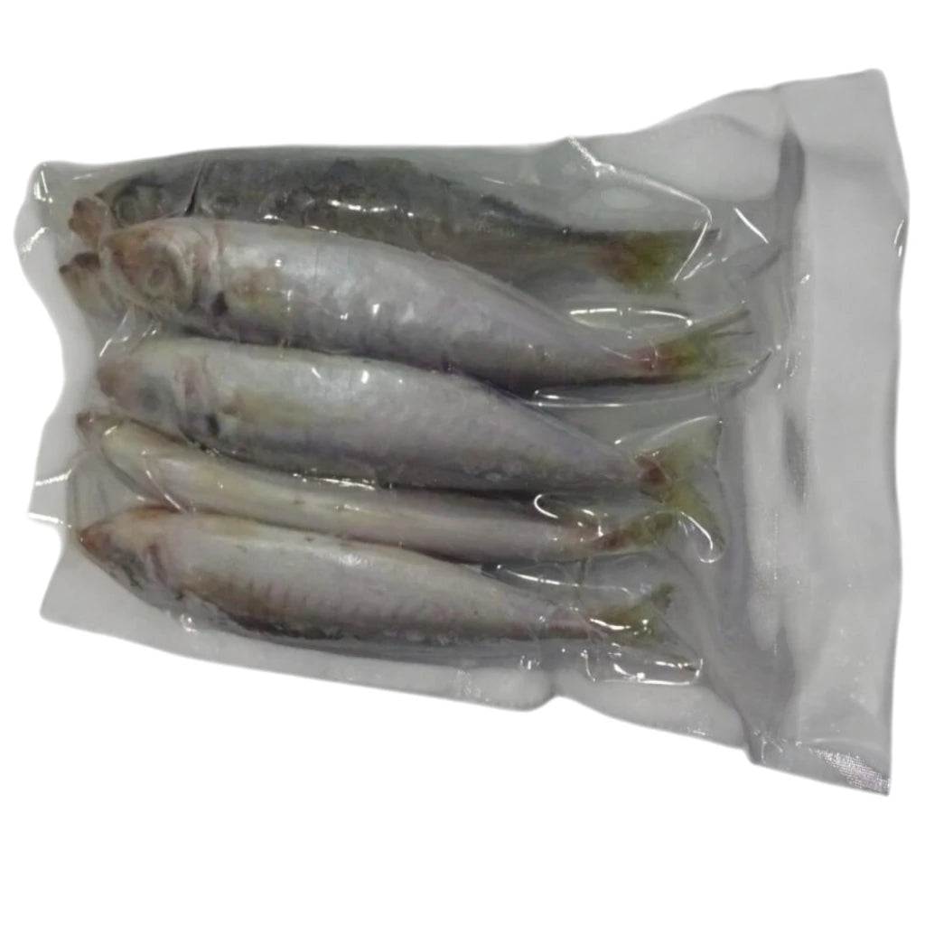 Round Scad – Frozen | 10 kg (20 × 500 g)