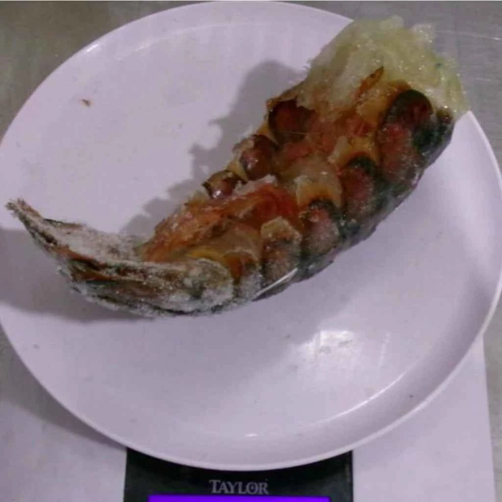 Raw Lobster Tails – Frozen