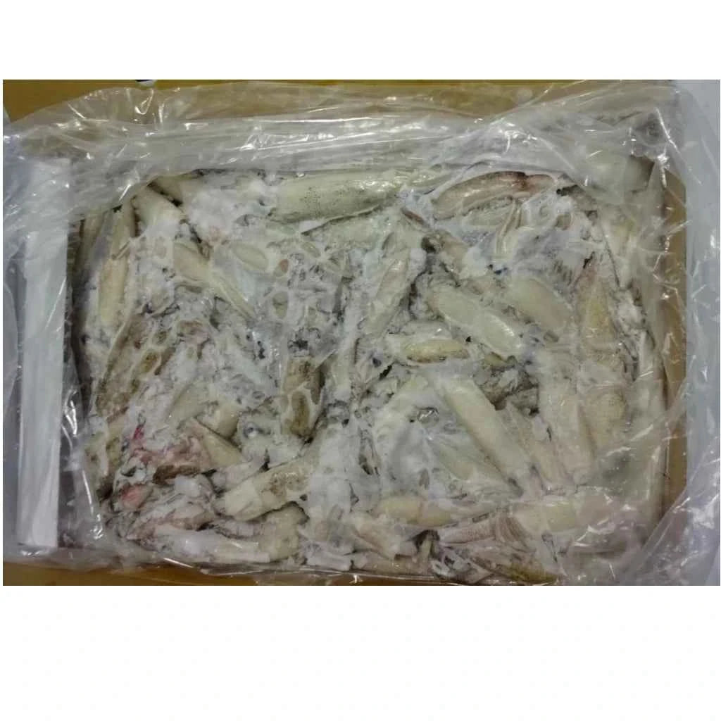 Whole California Squid – Frozen